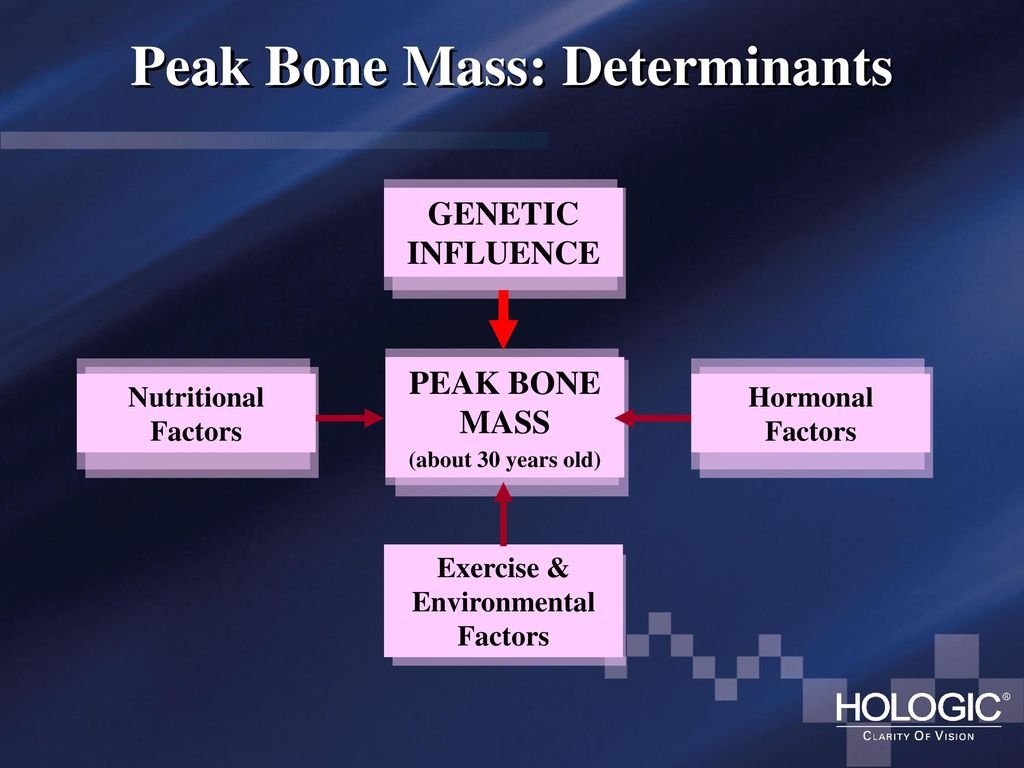Peak bone mass image 2